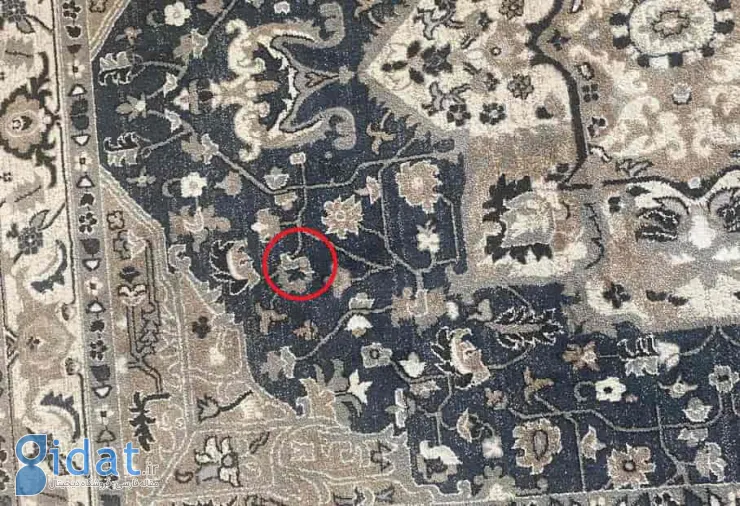 سکه گم‌شده در تصویر زیر را پیدا کنید